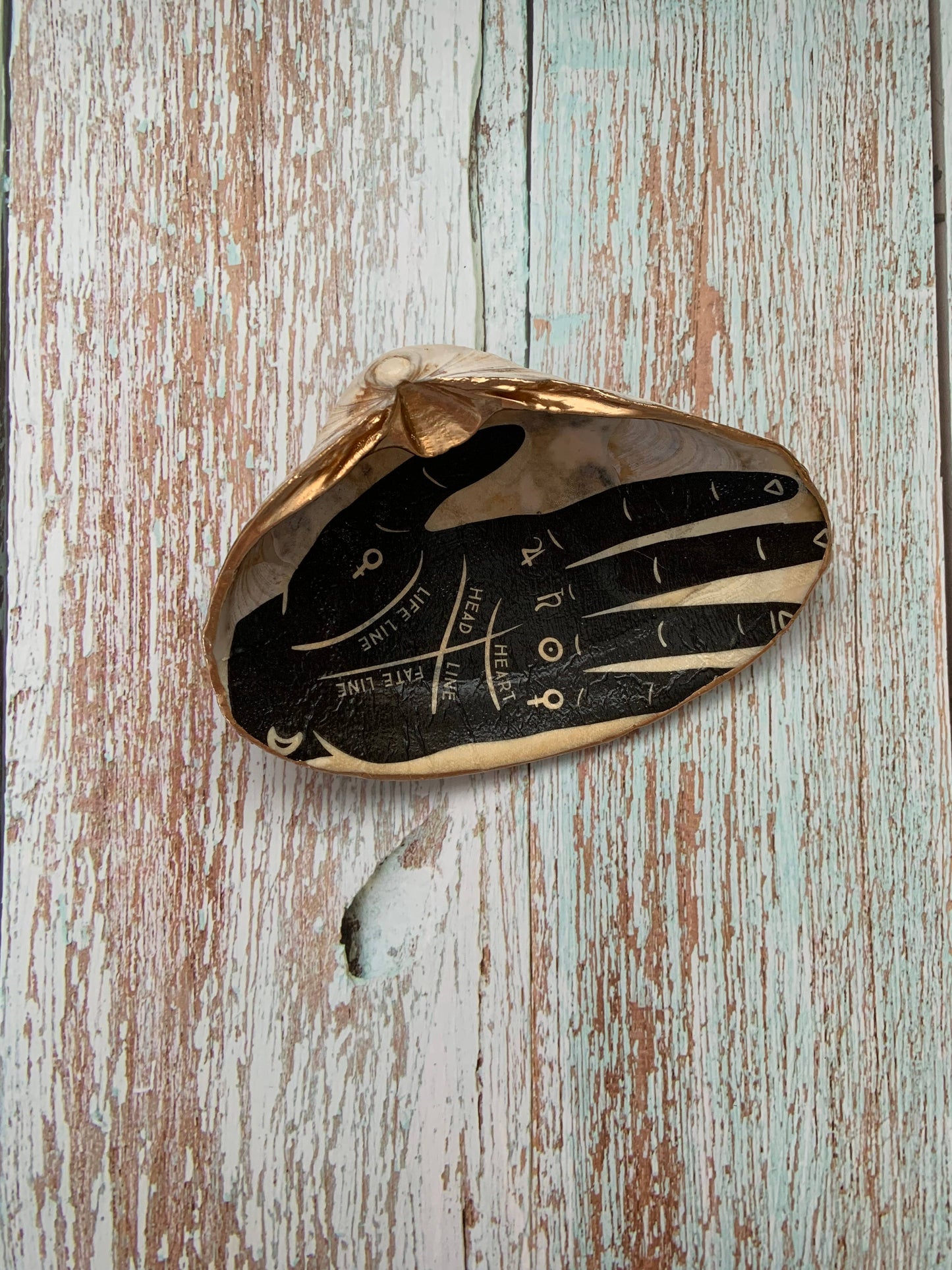 Palm and Hand