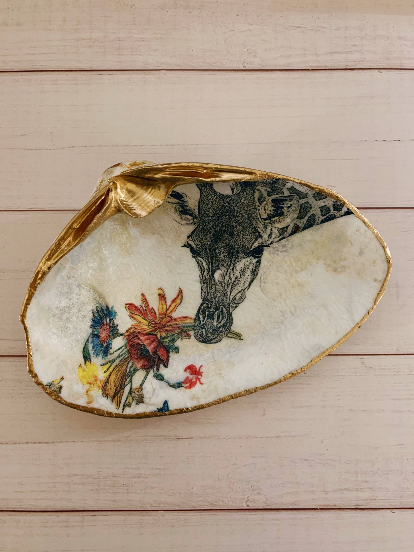 Giraffe Serenity Shells