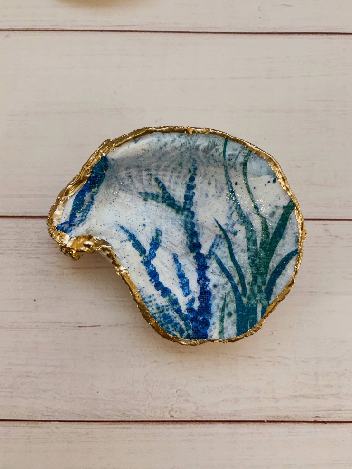 Under the sea Serenity Shells