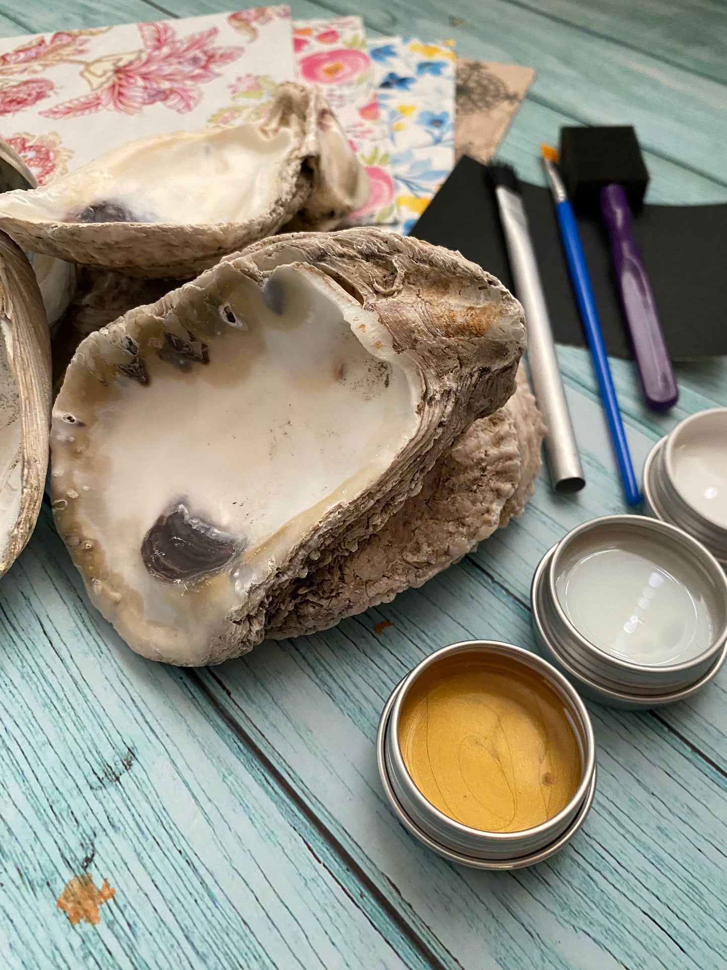 DIY Serenity Shell Decoupage Shell Kit