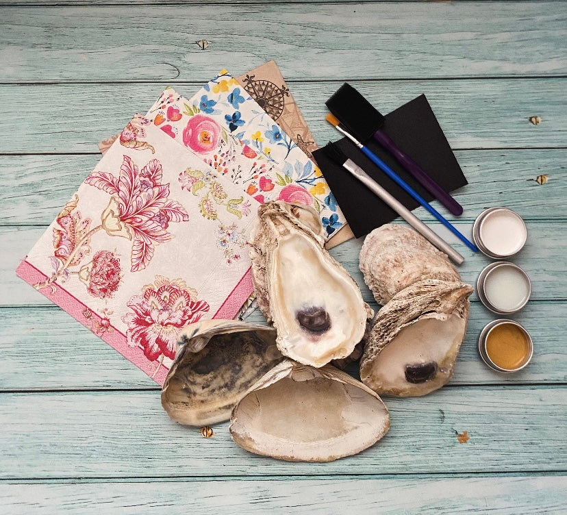 DIY Serenity Shell Decoupage Shell Kit