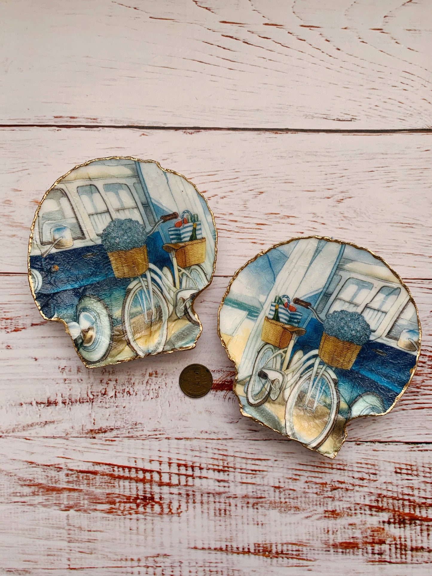 “Beach Day” Serenity Shells