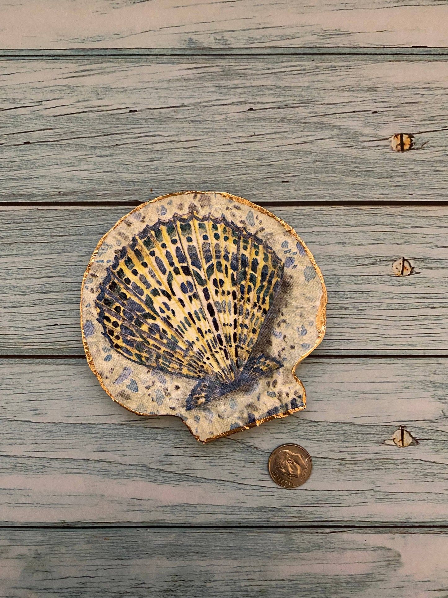 Sandy Scallop