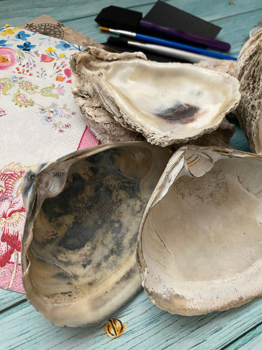 DIY Serenity Shell Decoupage Shell Kit