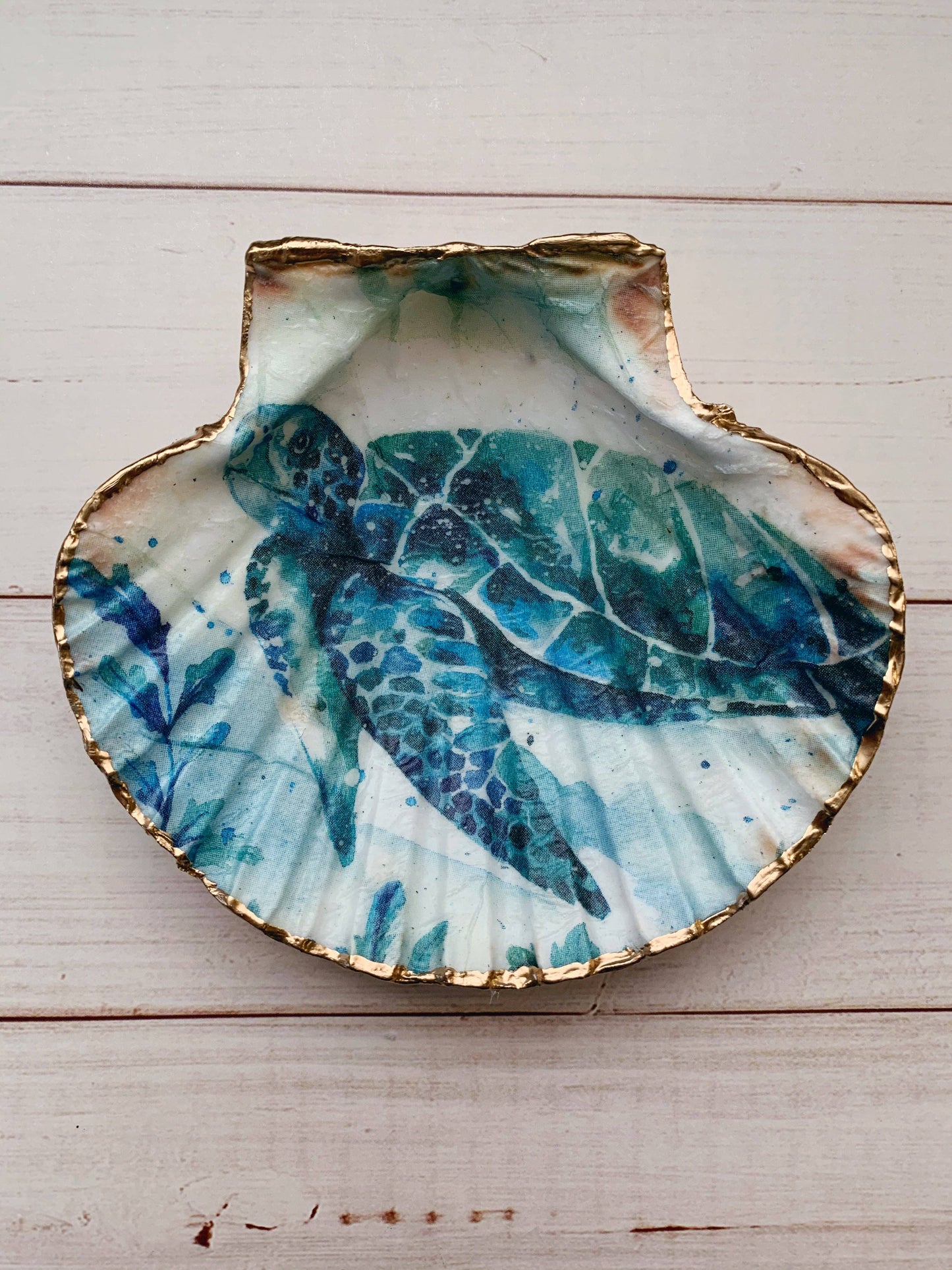 Sea Turtle  Serenity Shells