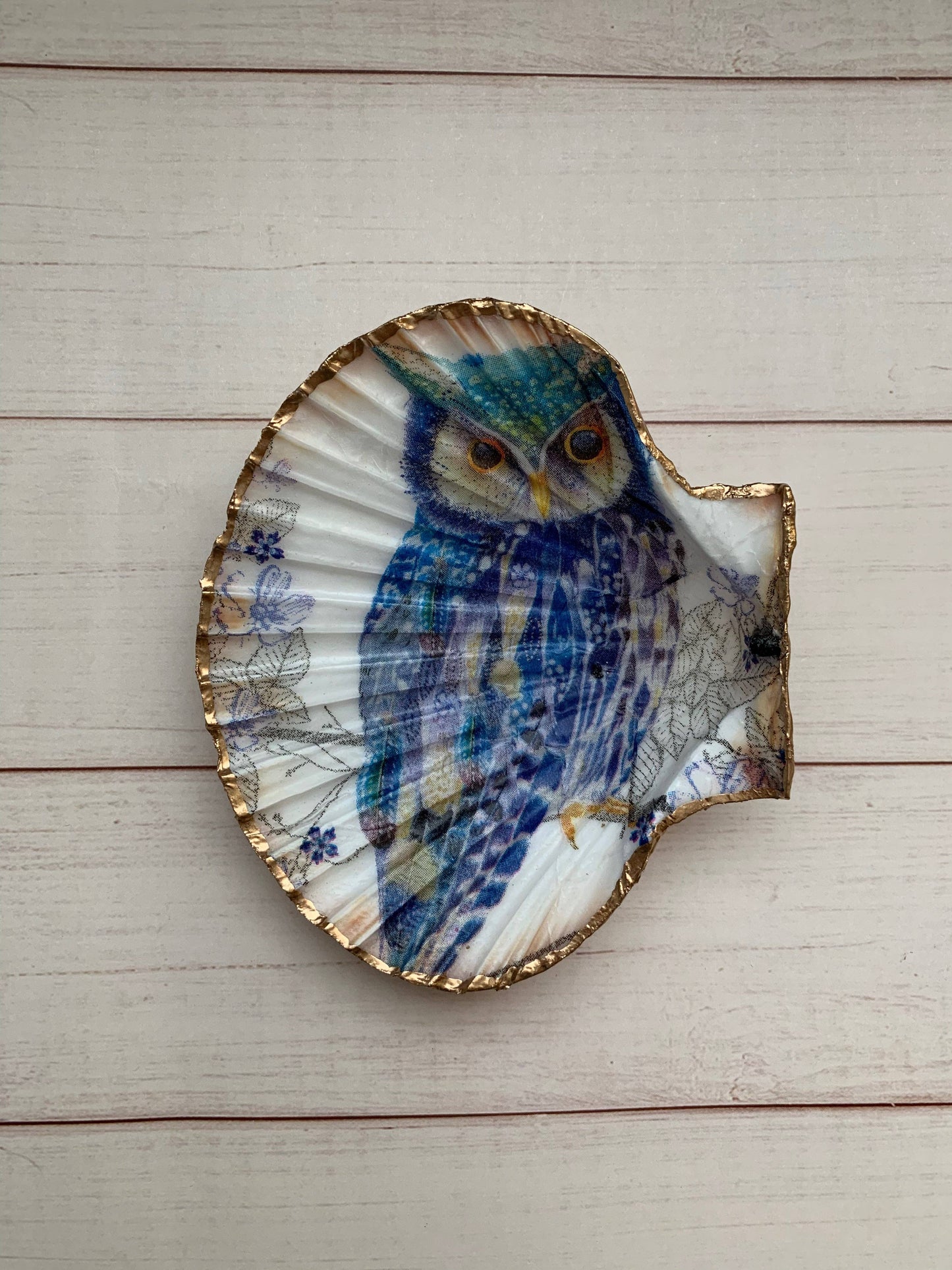 Wise Owl  Serenity Shells